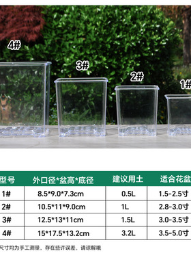 蝴蝶兰家用镂空适合蝴蝶兰的花盆方型水苔种植盆方盆底孔高档观根