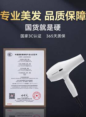 火之凤吹风机理髲店专业发廊大功率家庭用静音强风速干吹风机3000