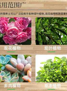 营养土30斤大包养花通用专用家用种植土多肉盆栽园艺土壤花土肥料