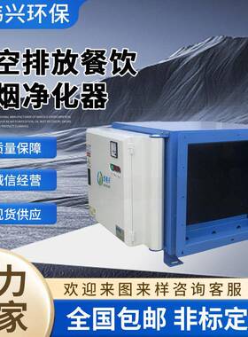 厂家直销饭店餐饮厨房油污净化器油烟处理器净化率可达99%以上