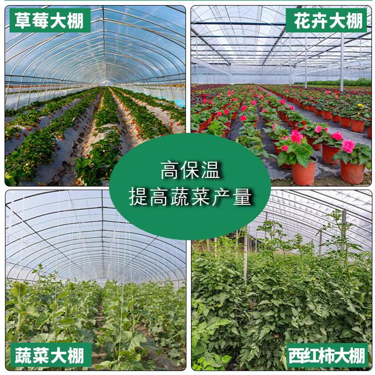 Greenhouse plastic film whole roll agricultural film anti-aging plastic cloth thickened high thermal insulation vegetable film greenhouse film