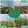 Greenhouse plastic film whole roll agricultural film anti-aging plastic cloth thickened high thermal insulation vegetable film greenhouse film