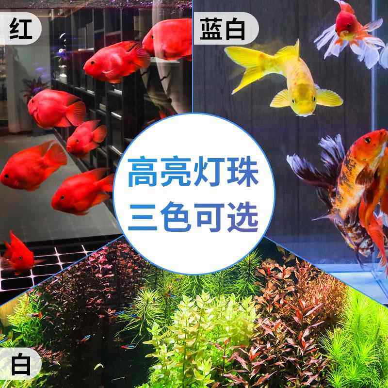 德国鱼缸潜水灯七彩LED水草灯全光谱照明水族箱专用增艳防水灯管,淘宝优惠券,粉丝福利购,淘宝优惠卷