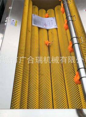 小型毛辊清洗机商用田螺生蚝毛刷清洗设备芋头莲藕去皮机去杂机