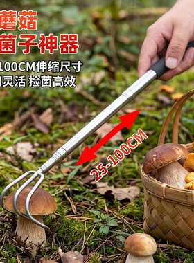 发捡采采蘑菇神器菌子可工具伸缩农业蘑菇菌子拾菌摘找野菌农具