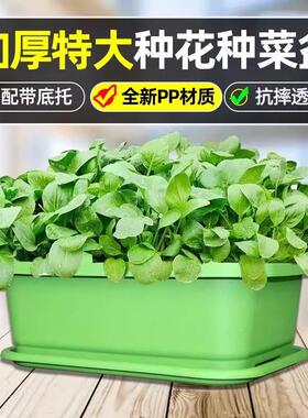 花盆加厚加深种菜专用箱室内阳台长方形塑料花盆家用种菜神器