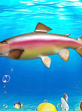 海洋仿真鱼模型工艺品室内装饰彩虹鳟鱼半边玻璃钢雕塑墙壁挂饰