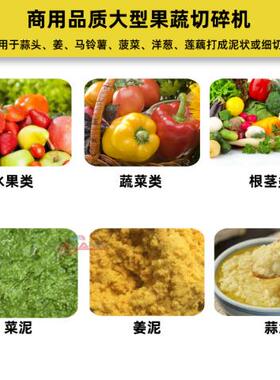专业大型碎菜机商用菜馅机大容量果蔬切碎机跨境新果蔬打浆机