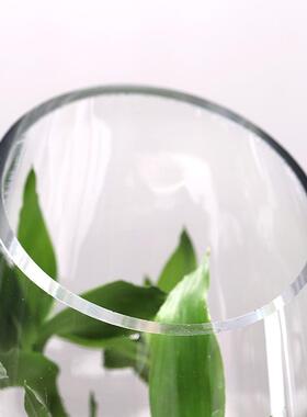 透明玻璃花瓶炮弹造型斜口干花插花花器客厅富贵竹摆件设计简约