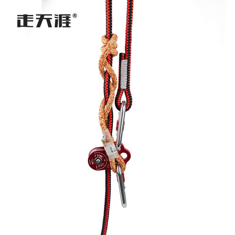 走天涯三眼滑轮滚珠轴承滑轮攀树滑轮srt登山救援三孔侧板单滑轮 - 图2
