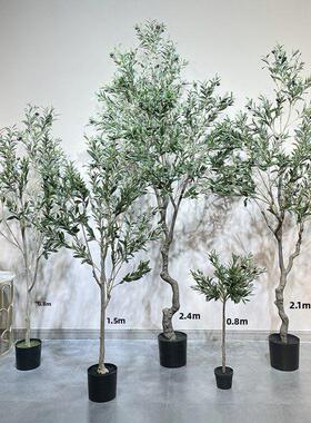 彷橄落榄斯堪的纳维亚风格家居客树厅地室景内彷绿色植物盆UWX装