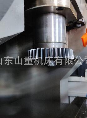 数控插齿机Y5132A自动化盘齿和轴齿加工联多联齿轮插齿设备