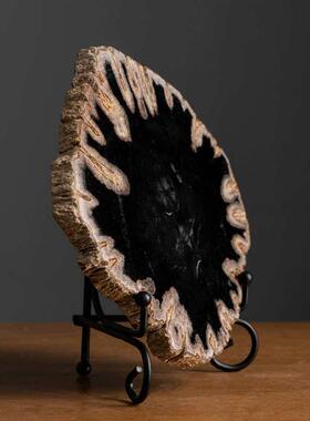 天然木化石切片桌面摆件博古架格子树化石装饰摆饰设计师样板