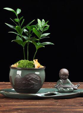 姜太公钓鱼摆件假山鱼缸中式微景观盆栽造景装饰摆件桌面摆件花宠