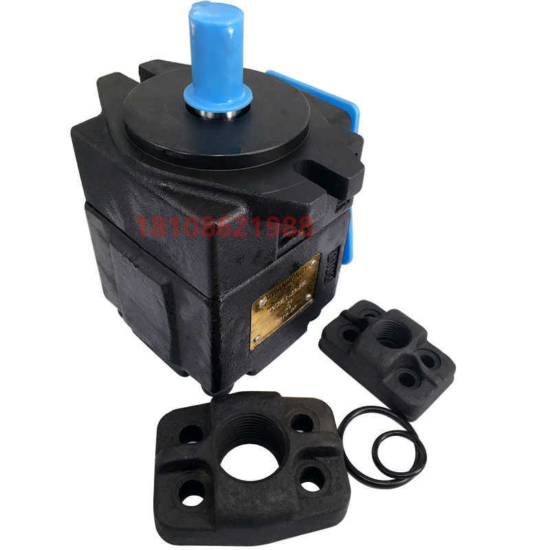 高压叶片泵PV2R1液压油泵PV2R2定量液压泵总成配件 PV2R3泵头现货,淘宝优惠券,粉丝福利购,淘宝优惠卷