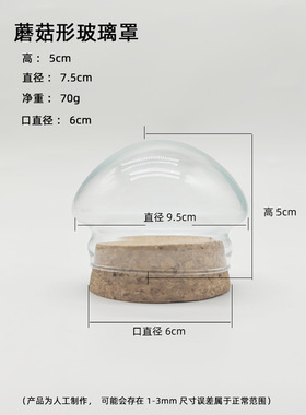 diy玻璃罩软木塞纪念品装饰摆件
