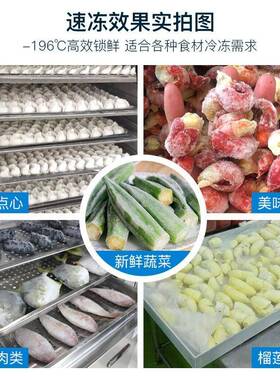 立式速冻柜海鲜小龙虾食品冷冻柜生鲜水果鲜肉速冻设备液氮速冻机
