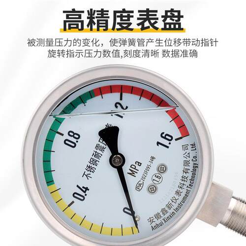 不锈钢耐震压力表YN100BF YTF100H304高温真空油气水液压力表氨用 - 图0