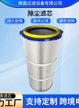厂家现货批除尘滤筒过滤芯工业除尘聚酯纤维回收粉尘喷涂过滤器