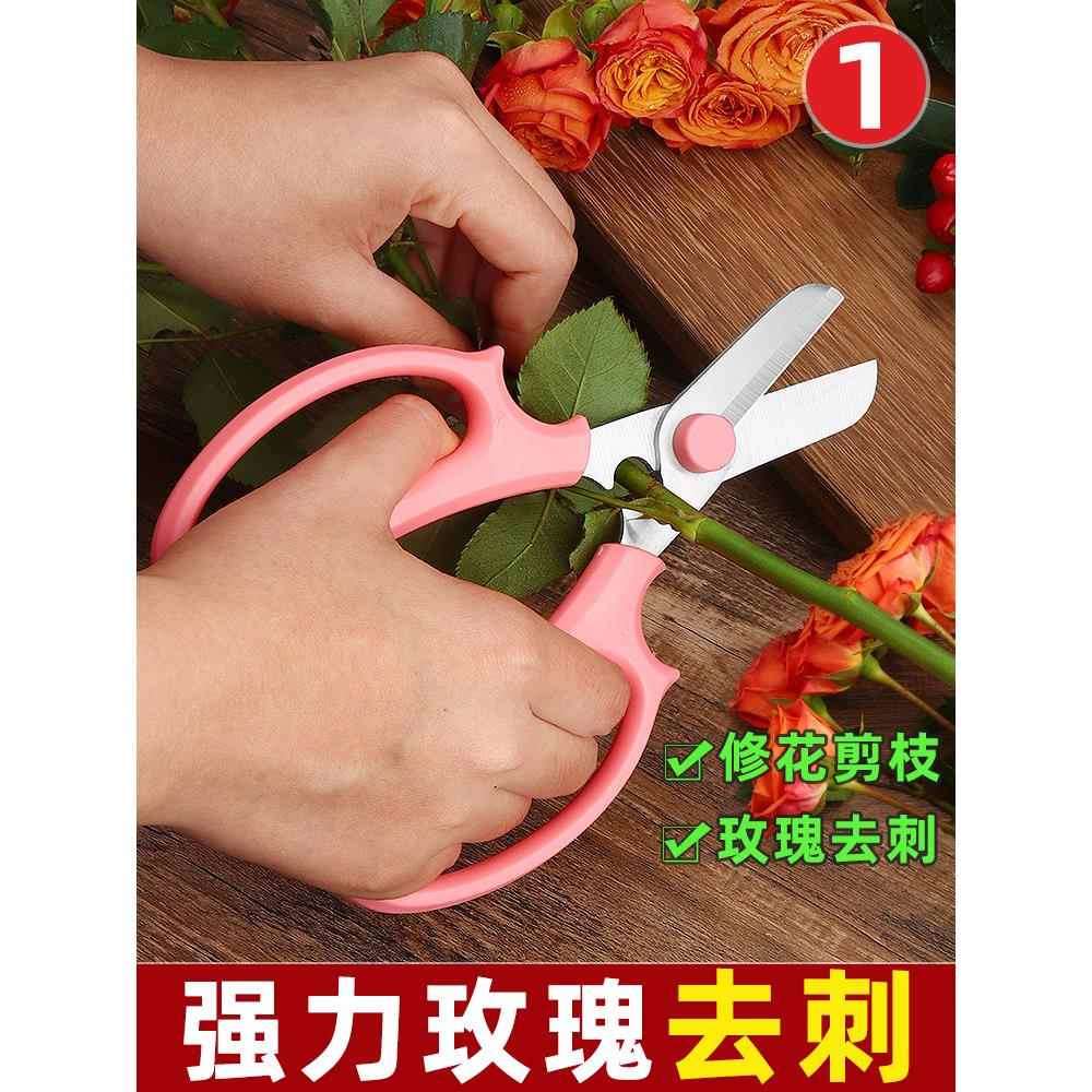 花园花艺剪刀花剪花艺师专用插花剪刀花枝园艺剪家用宽头鲜花剪刀