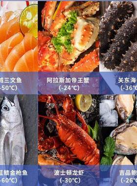 美厨商冰柜家用负40度卧式商用海鲜冷冻柜零下60℃80度超低温冰箱