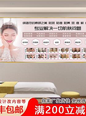 LDE灯 挂画美容院装饰祛斑痘皮肤管理靠脸吃饭微整形沙发背景墙壁