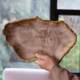 New Chinese style decorative tray wooden fossil dried fruit tray entrance entrance key storage ornaments for household coffee table tray