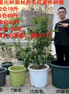 加厚特大号//四季加仑花盆树脂塑料蓝莓树月季控根青山透气