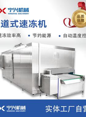 商用隧道式速冻机 蔬菜水果海鲜产品的冷冻 鸡鸭鹅肉类的冷冻机
