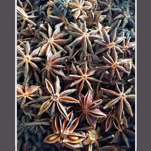 上海仝莫八角孜然精油设备 - 图0