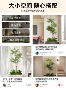 假绿植南天竹室内造景装饰摆件高级感彷生绿色植物落地大型彷真树