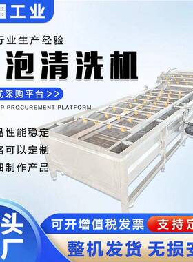 全自动土豆丝气泡清洗机烘干豆角加工设备清水竹笋浸泡清洗设备