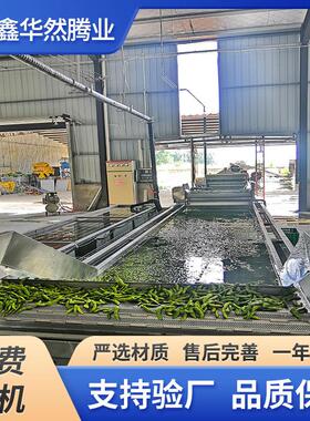 毛豆荚 豌豆粒速冻加工大型冷冻设备玉米粒 西蓝花预处理加工设备