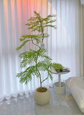 仿真绿植高轻装奢室内蓝楹假盆栽摆件植物端电视柜旁饰盆景假ltao