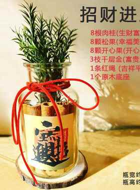 KFH肉桂生财摆件开装业招财件摆发财瓶布置新年客厅新房子乔迁之