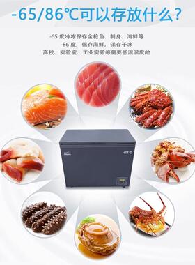 -40-60度家用卧式超低温冰柜家用商用金枪鱼超低温冷柜低温冰箱