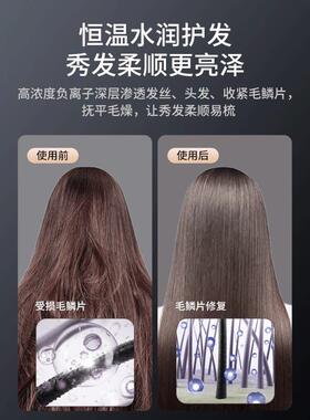 早鱼电吹风机家用大功率负离子护发大风力发廊速干理发店专用风筒