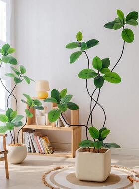 掬涵彷真绿色植物橡皮树高端轻奢假植物大型落地彷生盆栽室内客厅