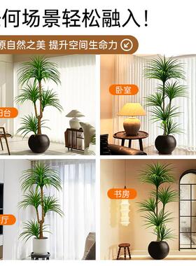 假花仿真花摆设龙血树高级仿生花装饰花艺摆件树室内客厅轻奢高端