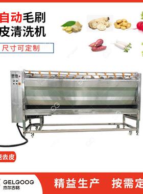 生姜清洗去皮设备 洋姜洗姜机 姜粉前处理加工机械 黄姜清洗机器