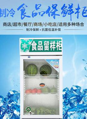 食品留样柜冷藏保鲜小型展示柜幼儿园酒店学校饭菜小型冰箱冰柜