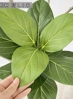富贵简约树花落地仿真仿真艺师植客厅风榕树绿室内款寂橡树侘高端