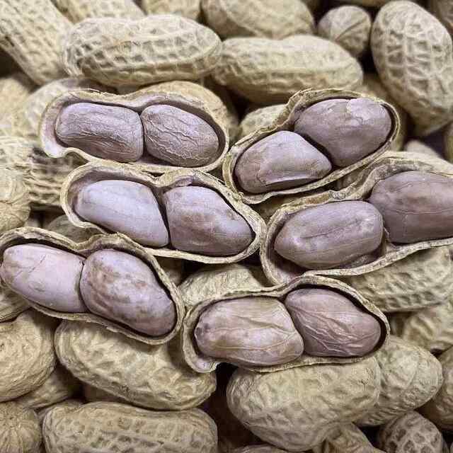 New arrival Longyan specialty boiled white sun-dried salted peanuts garlic spice multi-flavor shelled peanuts nuts roasted seeds and nuts zero