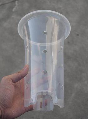 有侧孔透明兰花盆塑料观根控根加高兰科专业花盆套盆保温保湿内盆