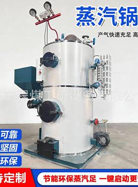 蒸汽锅炉燃气蒸炉发生器蒸汽量足智能控温化工全自动蒸汽锅炉
