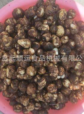 果蔬清洗机新型螺旋式南瓜去皮机天津果蔬自动去皮清洗机厂家