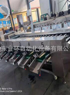 红薯分级机土豆魔shfj-350滚杠芋家分机厂级售后无忧稳定