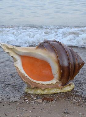 户外景观彷真海洋系列摆件海洋馆装饰海草海螺海星公园玻璃钢雕塑