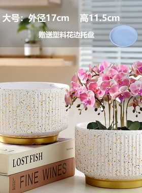TEMU蝴蝶兰花盆陶瓷清仓大号花瓶