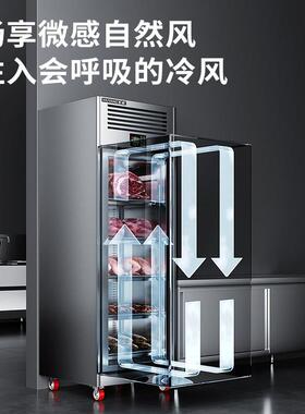五羊智能解冻柜商用高压静电低温抑菌化冻机冷藏缓化猪羊牛排酸柜